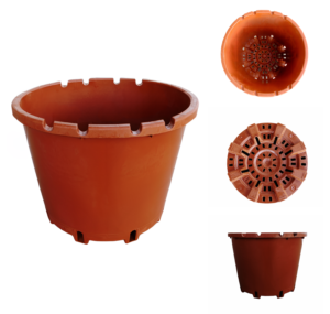 Pots for red fruits (berries) from Murgiplast