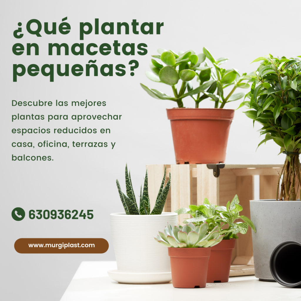 Plantar en macetas pequeñas - Murgiplast